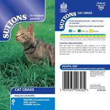 Free shipping available on many items. Cat Grass Seeds Suttons