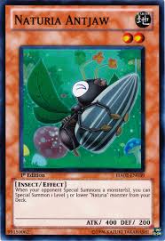 Naturia monsters can swarm the field quickly thanks to naturia pumpkin and ties of the brethren and then utilize firm as the earth or beatdown! Naturia Antjaw Yugipedia Yu Gi Oh Wiki