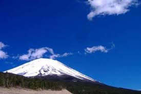 Regenerating 100 Hectare Forest In Mt Fuji Globalgiving