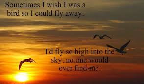 Sometimes I Wish I Was A Bird So I Could Fly Away Post Secret Positive Words Words