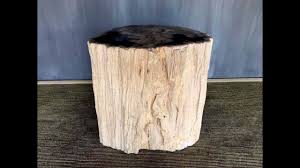 Outdoor Stool End Table Petrified Wood Side Table Wood Tree Stump Table