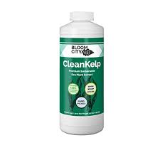 Scientists haven't proven many of these claims yet, but kelp is still a tasty and nutritious addition to your diet. Buy Organic Liquid Seaweed And Kelp Fertilizer Supplement By Bloom City Quart 32 Oz Concentrated Makes 180 Gallons Online In Turkey B073znw8mx