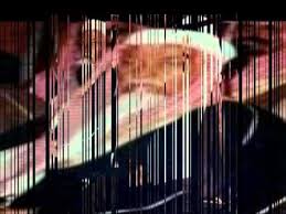 الشيخ تركي بن فيحان بن ربيعان Youtube