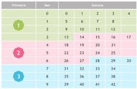 Calculadora Gestacional De Meses Para Semanas Mama Latina Como Calcular Semanas Meses Y Trimestres De Embar Embarazo Etapas Del Embarazo Embarazo Mes A Mes