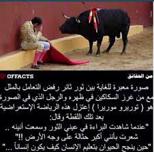 مصارعة الثيران توجد ألرحمه فيه quotes for book lovers funny quotes for instagram cool words