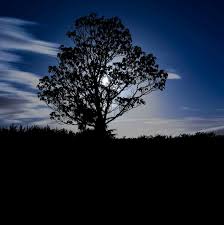 Photos by ashley smith and joseph gidjunis, jpg photography. Jpg Photography Home Facebook