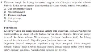 8) ordo cetacea merupakan mamalia yang bentuk tubuhnya seperti ikan dan hidup di laut. Biologi Laman 5 Kopassu Suka Biologi
