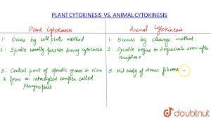 Maybe you would like to learn more about one of these? Difference Between Plant Cytokinesis And Animal Cytokinesis Youtube