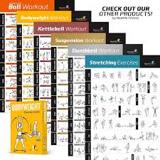 29 Unmistakable Exercise Ball Chart Pdf