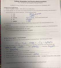Musa november 12, 2017 worksheets no comments. Cell Processes And Energy Photosynthesis Worksheet Answers Nidecmege