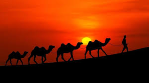 5.2 to see the camel driver to see the camel driver: What Does It Mean To See A Camel In A Dream