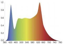 All led grow light has different light spectrum, it has been designed to only provide the light plants avoid underpowered, inexpensive grow lights. Unboxing Ecru Full Spectrum Plant Grow Light Rainforest Station Pets