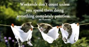Better to remain silent and be thought a fool than to speak out and remove all doubt.. Having To Work On Saturday Quotes 90 Funny Saturday Memes Images Pics For A Happy Weekend Dogtrainingobedienceschool Com
