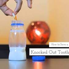 Check spelling or type a new query. How To Save A Knocked Out Tooth Red Apple Pediatric Dental Team