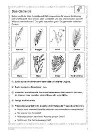 Natur Und Leben Arbeitsblatter Grundschule Lehrerburo Primary School Teacher Elementary Schools Elementary School Teacher