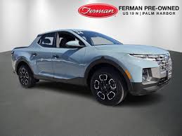 Image result for Blue Stone 2024 Santa Cruz