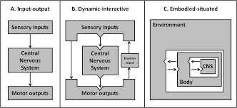 Let us talk more about the brain and the associated organs. 1 Development Of Psychological Models About The Interactions Between Download Scientific Diagram