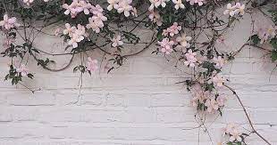 1,024 likes · 33 talking about this · 275 were here. Photo Facebook Cover Photos Flowers Facebook Cover Photos Vintage Cover Photos