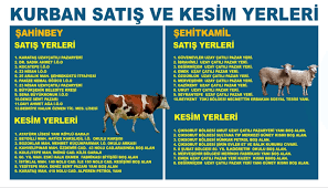 Gaziantep Te Kurban Satis Ve Kesim Yerleri Haberi Gaziantep 11 Ekim 2013 Cuma Son Dakika Haberleri