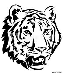 Come fare un ritratto in bianco e nero con matite in grafite. Disegno In Bianco E Nero Vettore Tigre Testa Dipinti Da Parete Quadri Zanna Gatto Grande Realistico Myloview It