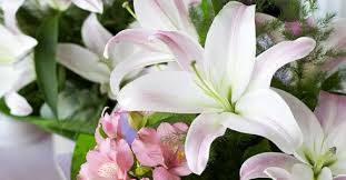 For over 25 years, we have specialized in houston funeral flower arrangements. Sympathy Funeral Flowers Houston Tx It S Just For You Flower Delivery