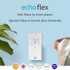 Echo Flex Amazon