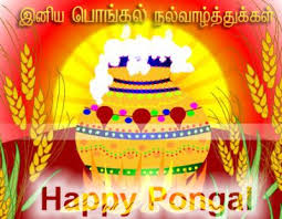 Image result for pongal festival images