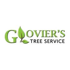 Glovier S Tree Service Stump Grinding Kouts In