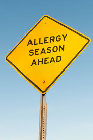 Check spelling or type a new query. Surviving Allergy Season In Florida Florida E N T Allergy