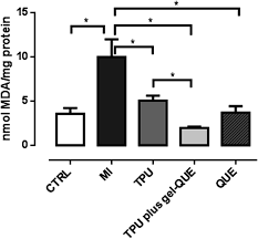 A Novel Quercetin B Cyclodextrin Transdermal Gel Combined Or Not With Therapeutic Ultrasound Reduces Oxidative Stress After Skeletal Muscle Injury Rsc Advances Rsc Publishing Doi 10 1039 D1ra04708f