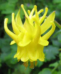 Pin On Beauty And Designs In Nature