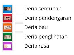 Kemahiran saintifik tahun 3, 4, 5 dan 6. Kemahiran Proses Sains Memerhati Sains Tahun 5 Sumber Pengajaran