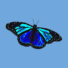Butterfly on dark blue background. Blue Butterfly In 2020 Blue Butterfly Blue Aesthetic Dark Baby Blue Aesthetic