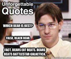 Which Bear Is Best False Black Bear Fact Bears Eat Beats Bears Beats Battlestar Galactica Ncu Jim Halpert As Dwight Quickmeme