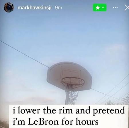 I Lower The Rim and Pretend Im Lebron for Hours | TikTok