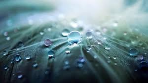 Download free android wallpaper images including christmas wallpaper, landscape wallpapers, and animal wallpaper backgrounds for all mobile devices like tablets, mobile phones, smartphones, as well as desktop backgrounds and home screen wallpaper. Free Wallpapers For Android Mobile Phones Group 49
