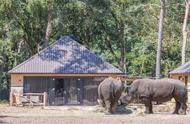 Book safari resort beekse bergen, hilvarenbeek on tripadvisor: Savannen Lodge Plus Fur 8 Personen Beekse Bergen