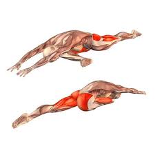 pin ot polzovatelya alvina na doske yoga pozy jogi dvizheniya jogi uprazhneniya dlya jogi