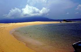 Check spelling or type a new query. Wonders Of Kedah S Coral Reefs The Star