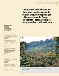 Image result for Millettia psilopetala