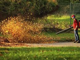 Pin By Home Lifestyle Montreal Ca On Stop Aux Souffleuses A Feuilles In 2020 Landscape Contractor Parks N Rec Leaf Blower