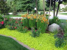 Ground Cover Archives Smalls Landscapingsmalls Landscaping