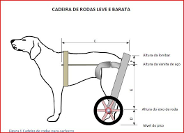 Doggie wheelchairs cost around $200. Pin On Dog Wheelchairs