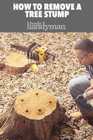 Pin On Landscaping Tips