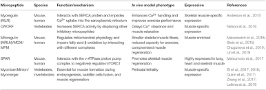 Often, a lab will choose to develop and use an ldt because a commercial test is not currently available. Frontiers Non Coding Rnas Shaping Muscle Cell And Developmental Biology