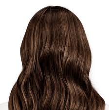 Napoli Brown Natural Deep Warm Brown Hair Color With Hints Of Gold In 2021 Warm Brown Hair Color Brown Hair Colors Hair Color