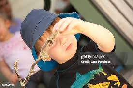 766 Jane Eden Stock Photos, High-Res Pictures, and Images