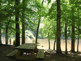 Pin By Rita Lozada On Camping Men S Room 2nd Bush On The Left Camping In Tennessee Camping Locations Camping Places