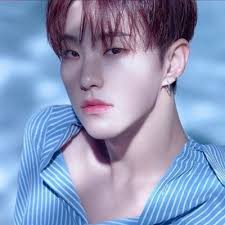 For any inquiries,please feel free to dm us! Hoshi Hoshipics Twitter