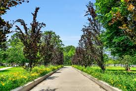 Trinity bellwoods park is a public park located in toronto, ontario, canada, bordered by queen street west on the south and dundas street on the north. Living In Trinity Bellwoods One Of The City S Hottest Neighbourhoods Stusells Ca Toronto Real Estate Agents